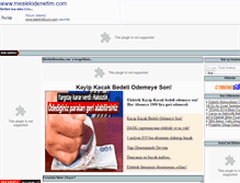 Tablet Screenshot of meslekidenetim.com